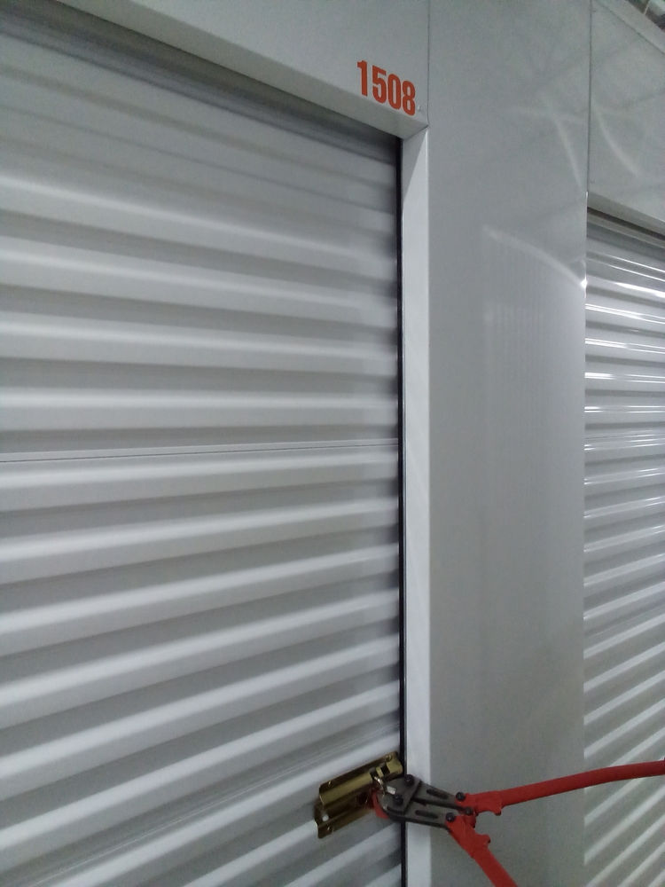 1-800-Self-Storage of Southfield (8 mile)  auction IB-6433