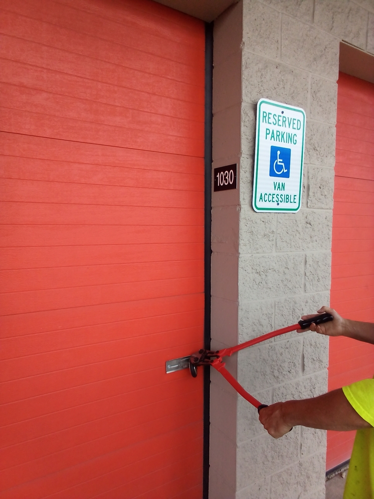 1-800-Self-Storage of Southfield (8 mile)  auction IB-6171
