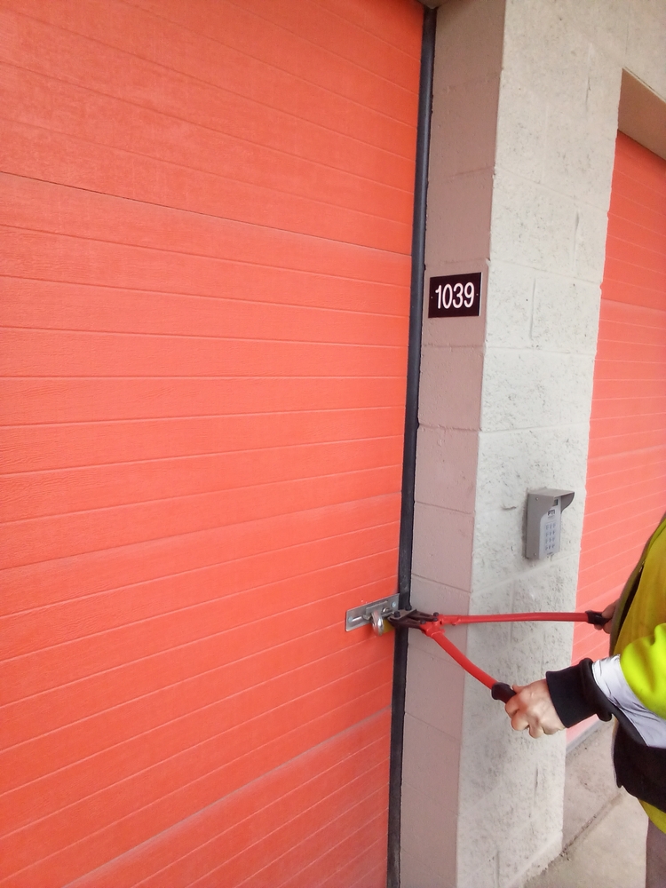 1-800-Self-Storage of Southfield (8 mile)  auction IB-1906