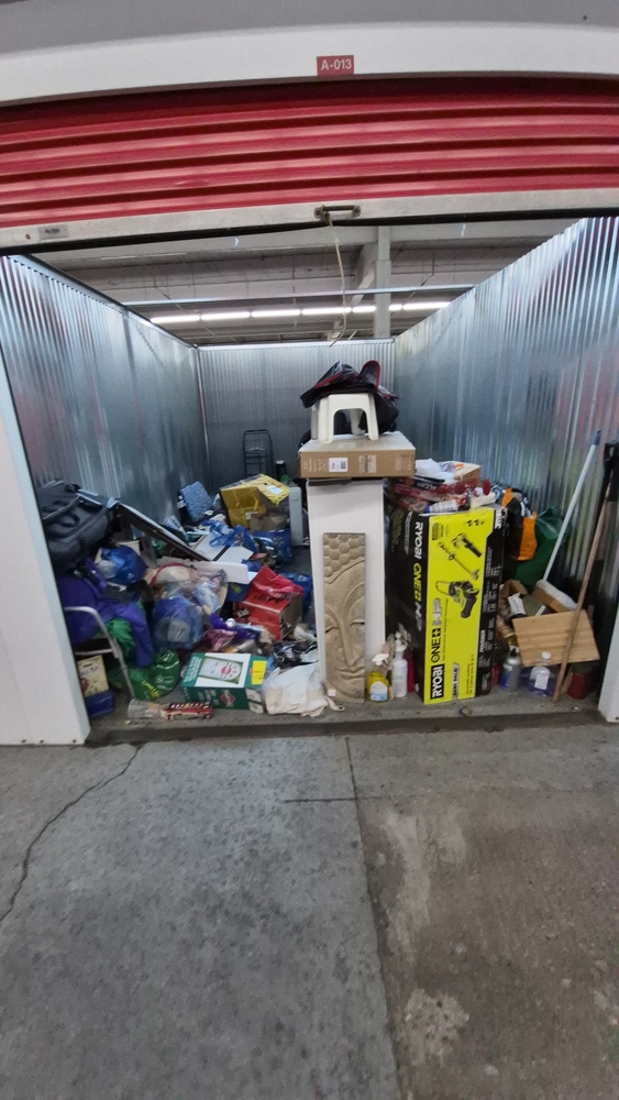 XYZ Storage - Laird  auction IB-9629