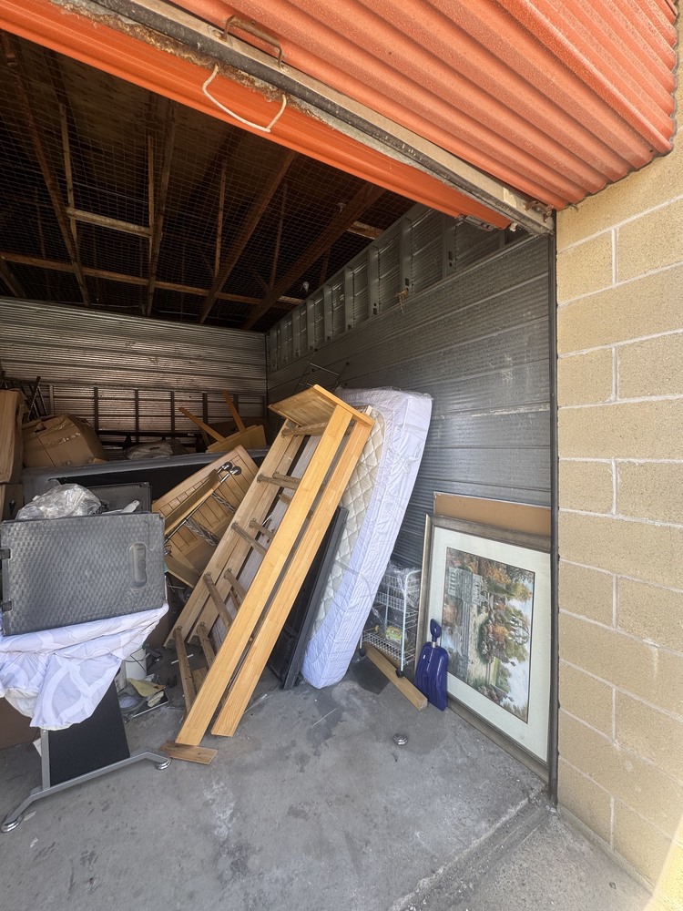 3009 - StorageMart Guided Crt  auction IB-8581 10