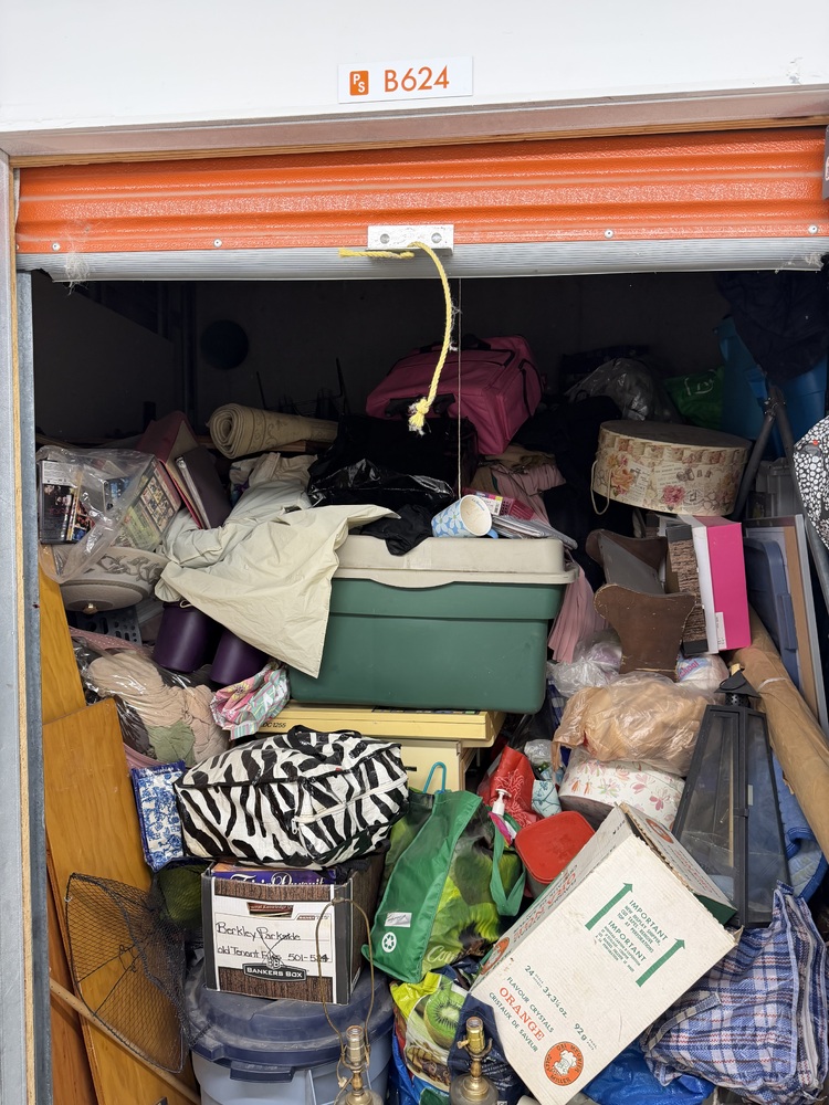 Public Storage P0020 -Vine Ave  auction IB-9133 50
