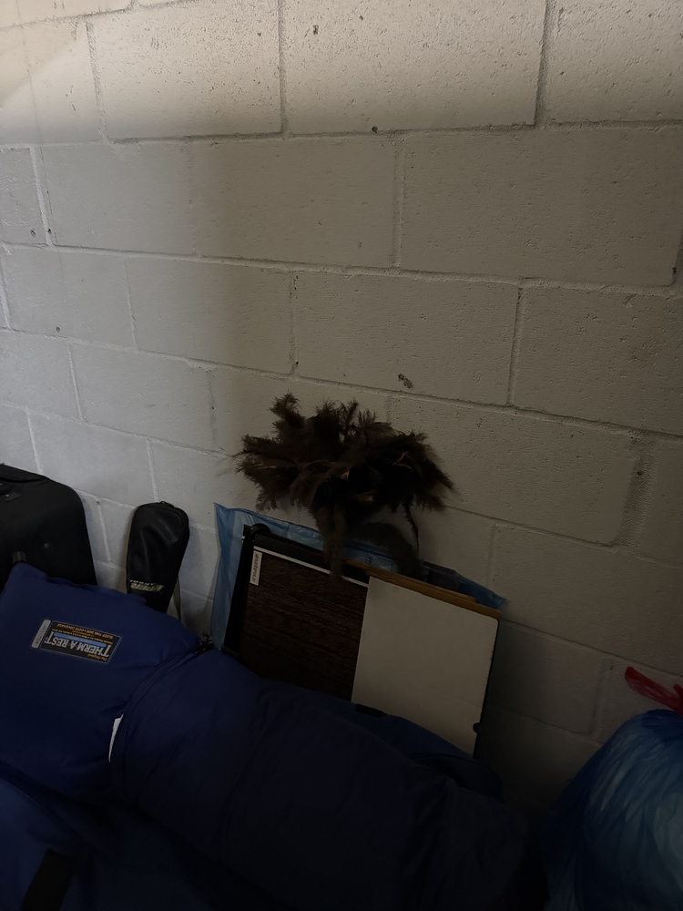 Montreal Mini-Storage - Canal  auction IB-7399 10