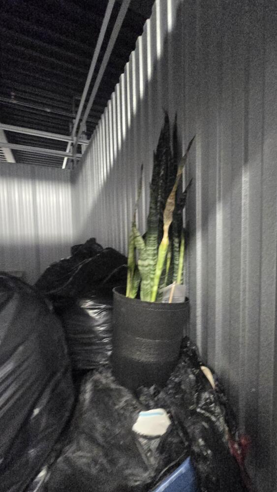 3019 - StorageMart 345 Danforth Road  auction IB-8652 20
